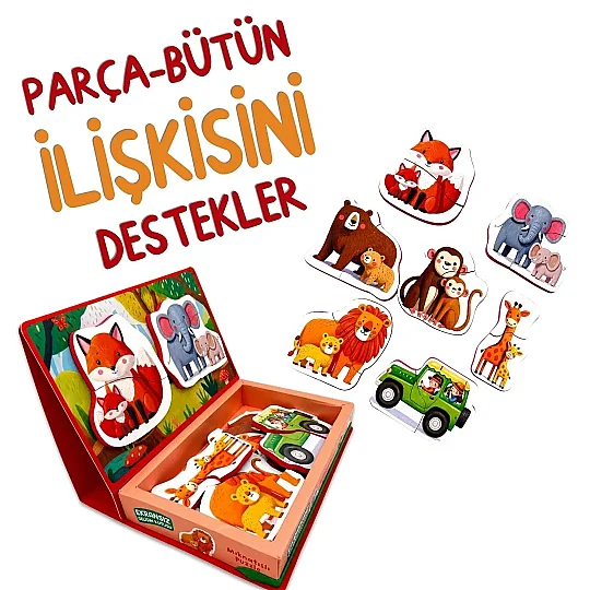 Magnetoria – Meşe Palamudu Ormanı - 4