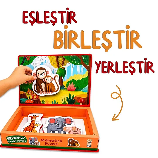 Magnetoria – Meşe Palamudu Ormanı - 7
