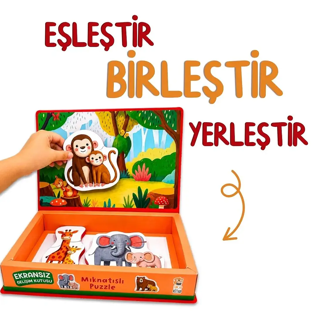 Magnetoria – Meşe Palamudu Ormanı - 7