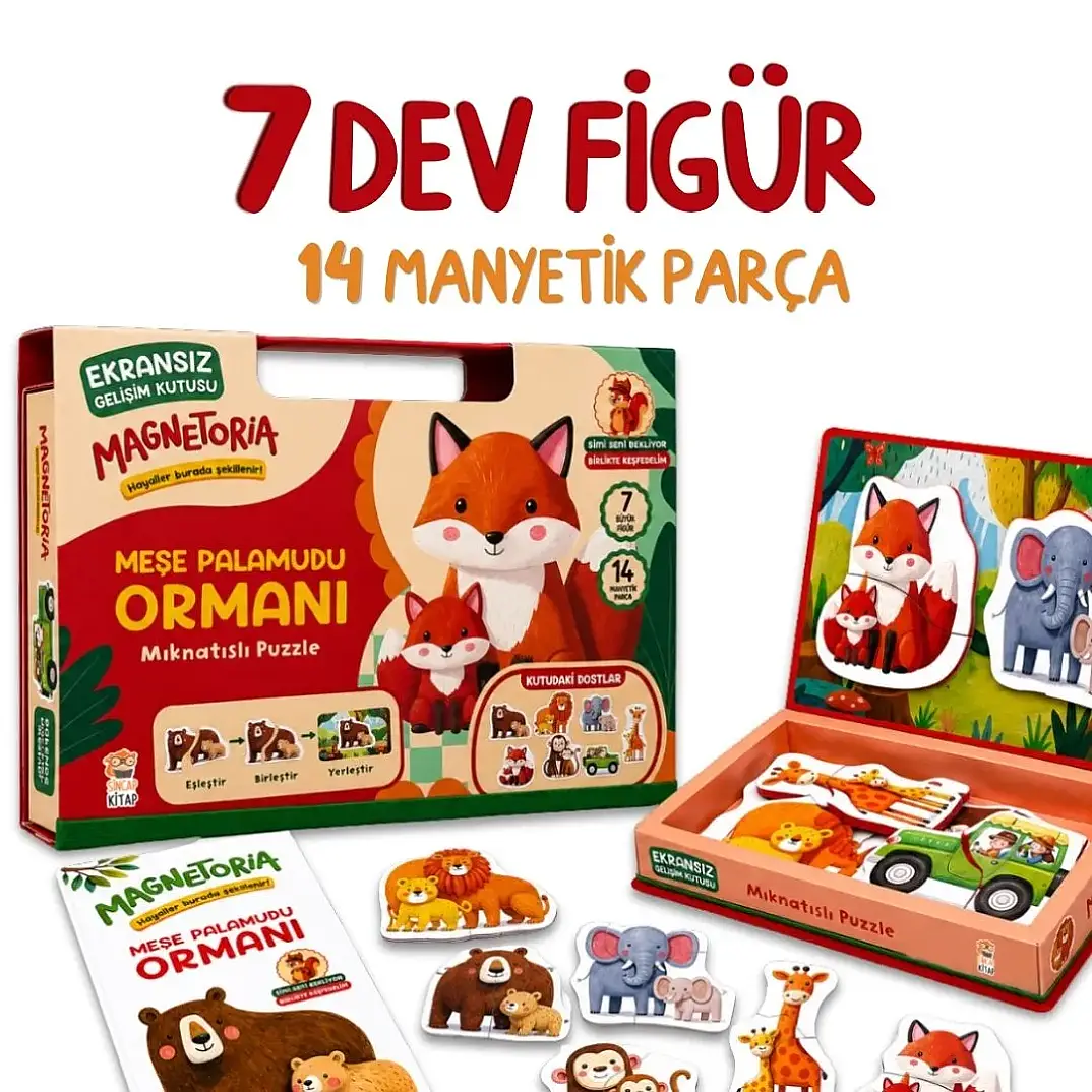 Magnetoria – Meşe Palamudu Ormanı - 2
